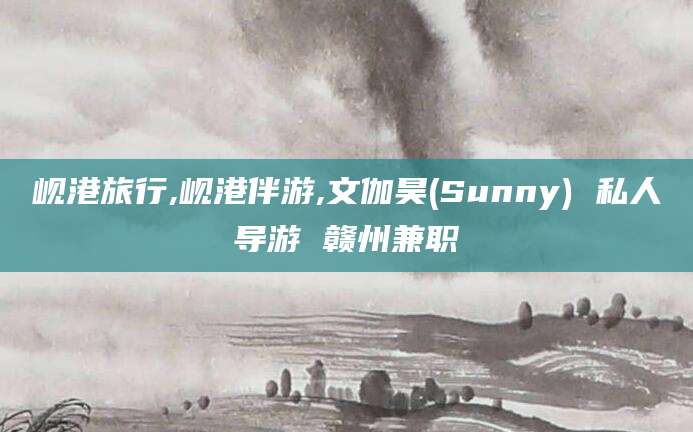 永春岘港旅行,岘港伴游,文伽昊(Sunny) 私人导游 赣州兼职