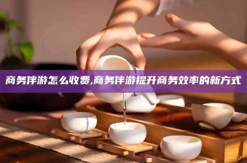 永春商务伴游怎么收费,商务伴游提升商务效率的新方式