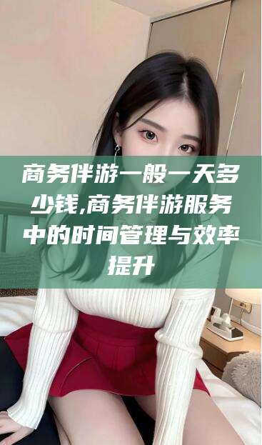 永春商务伴游一般一天多少钱,商务伴游服务中的时间管理与效率提升